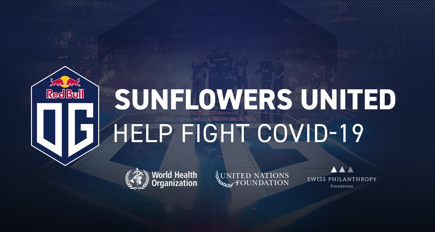 Sunflowers United featured image