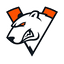 VirtusPro