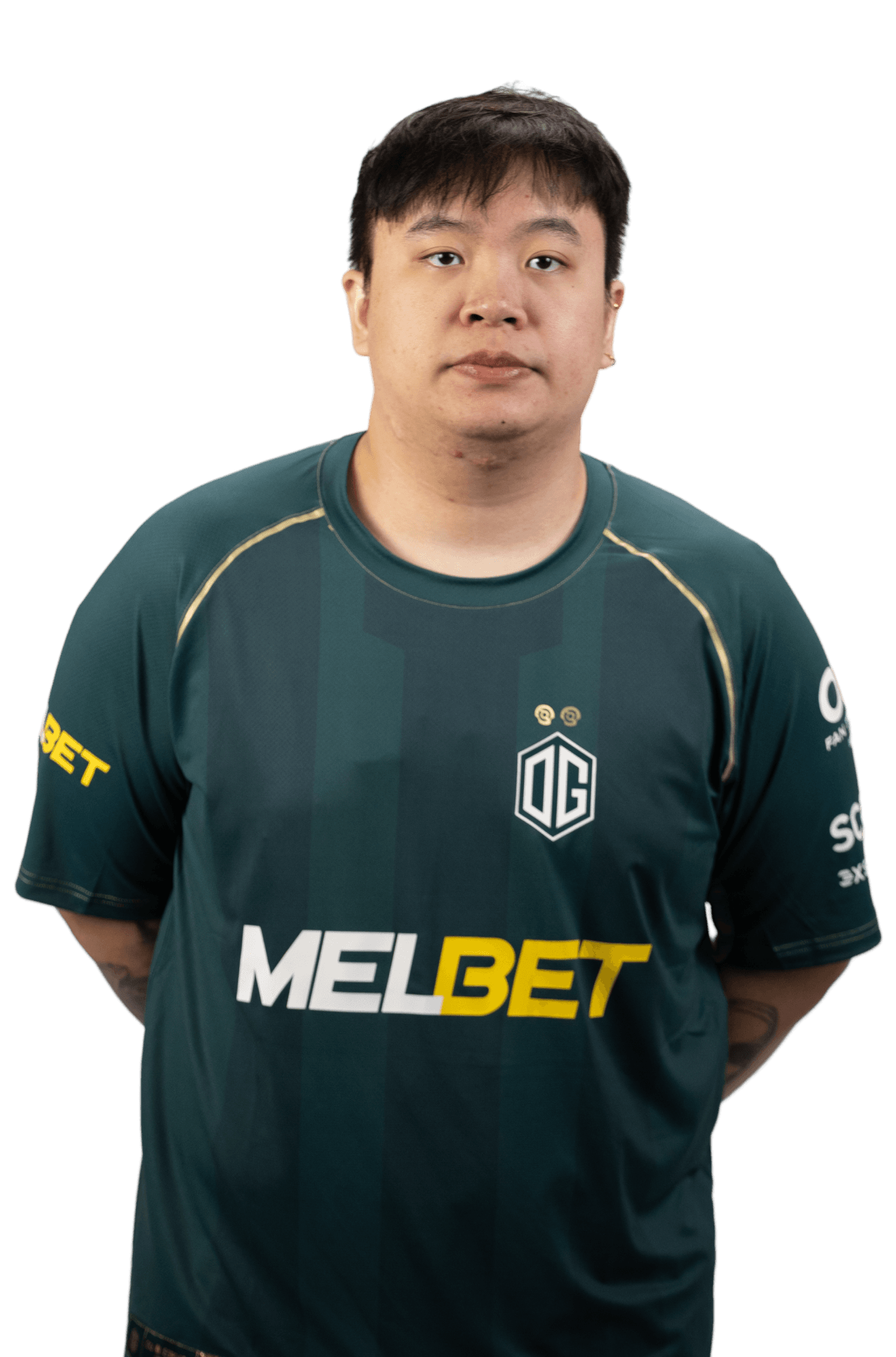 DOTA 2 Team player photo, skem