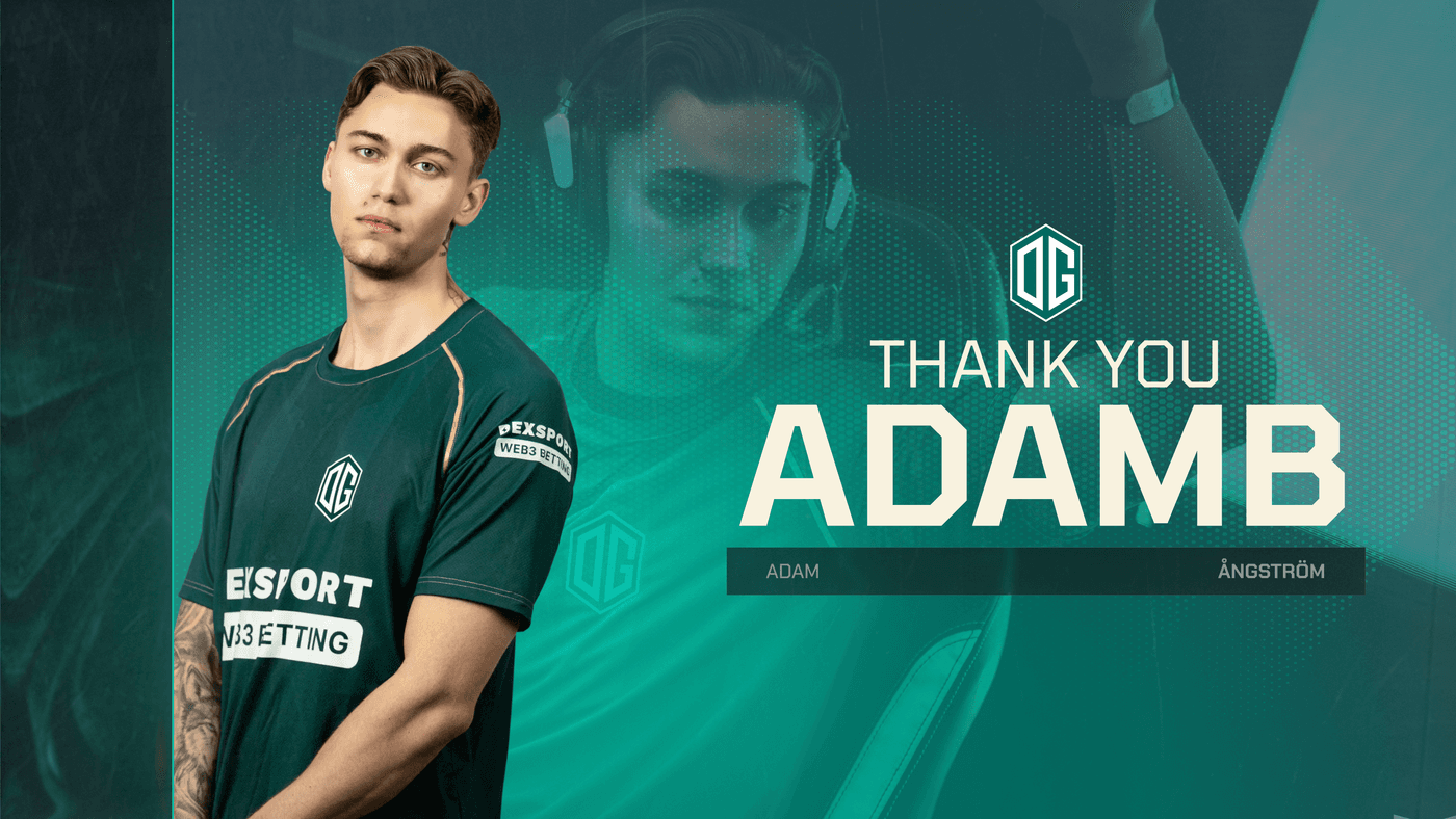 Thank you adamb article image