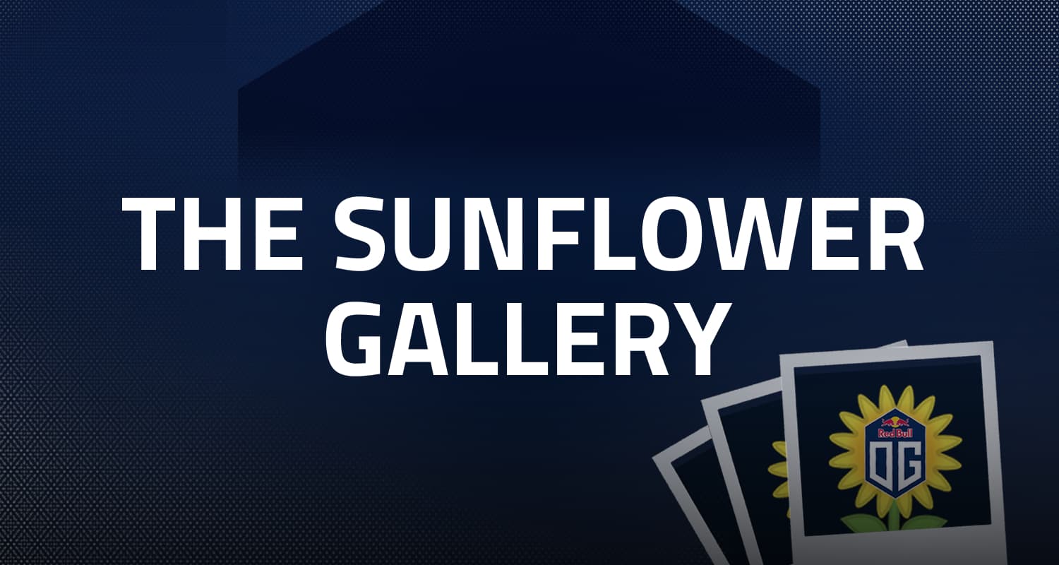 The Sunflower Gallery featured image